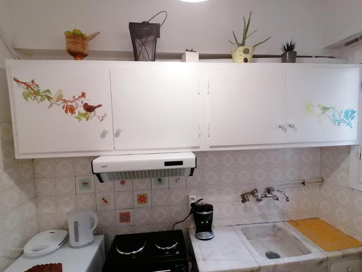 Pagrati Nest Apartment เอเธนส์ ภายนอก รูปภาพ